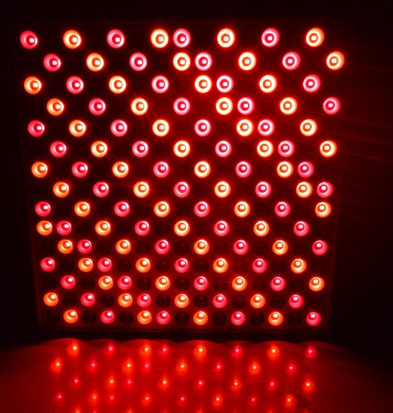 GembaRed Rex NIR & Red LED Light Panel - Small Desktop Panels product photo, currently $72.14
